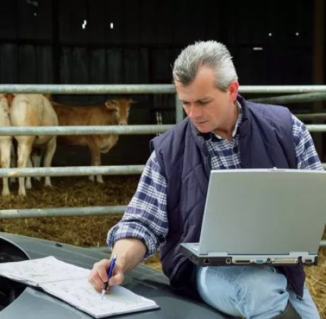 analyse financière agricole