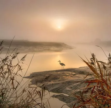 Pollution des eaux