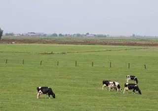 société agrciole