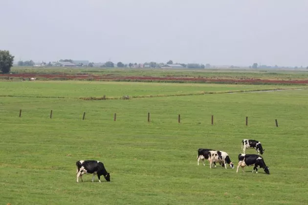 société agrciole