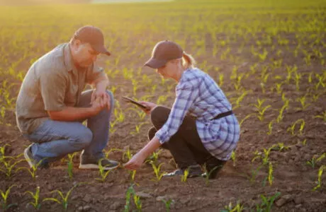 optimisation entreprise agricole