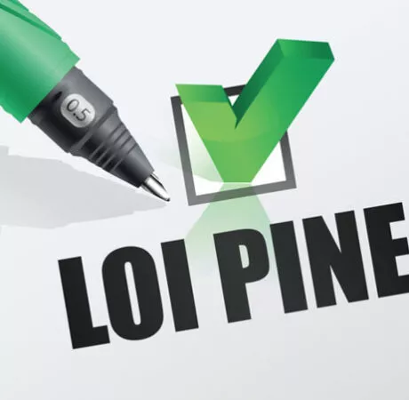 Loi Pinel