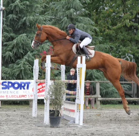 Lycée La Touche concours d'équitation 29 mai 2022