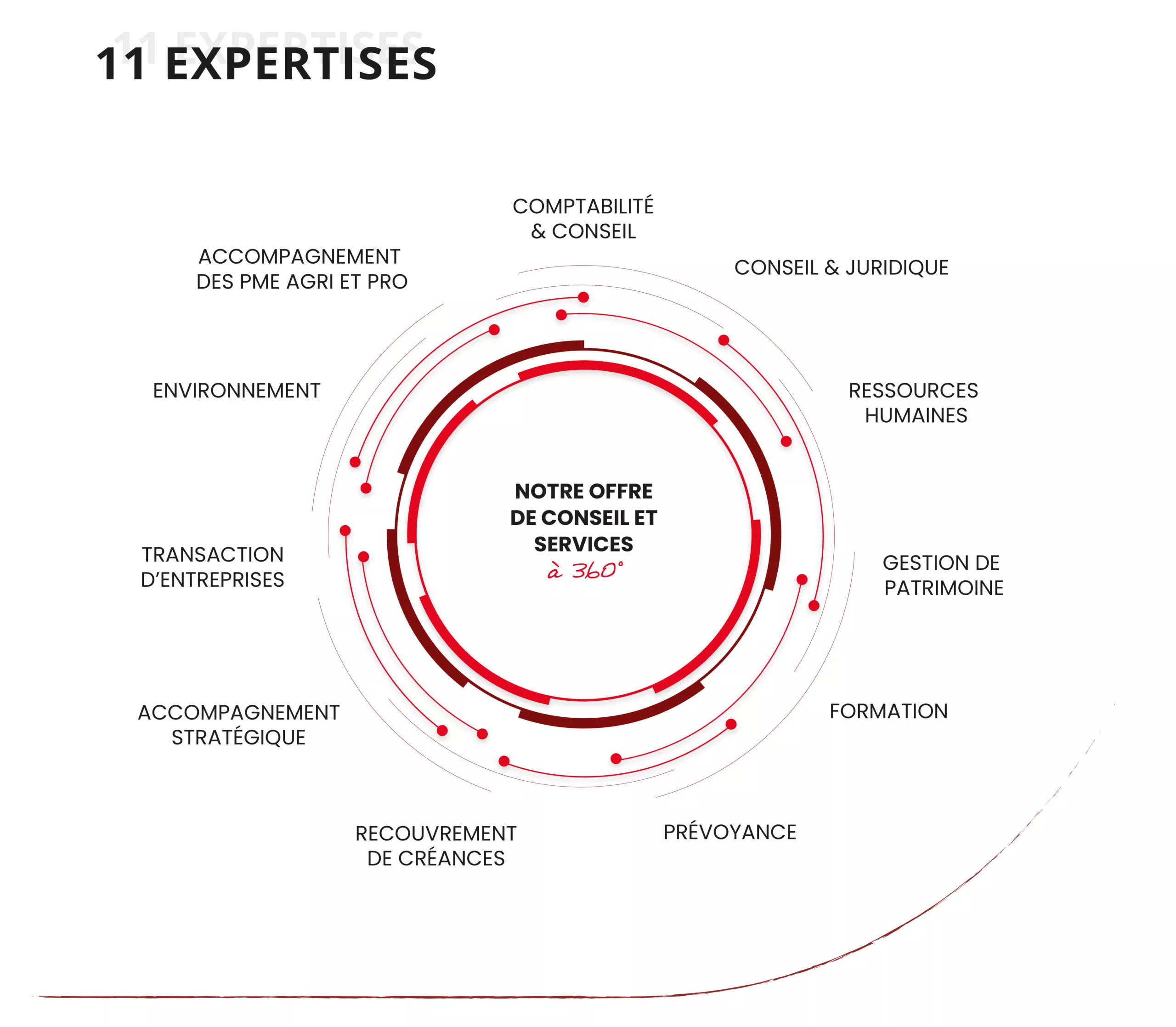 Roue des expertises Groupe Cogedis