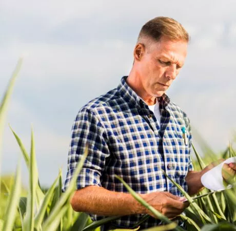 Remplacement de l'exploitant agricole